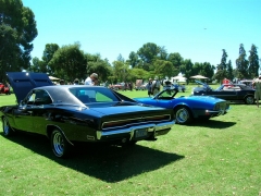 DSCN9658.JPG