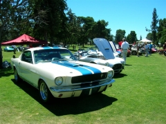 DSCN9783.JPG