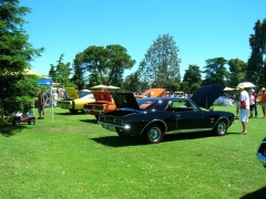 DSCN9660.JPG