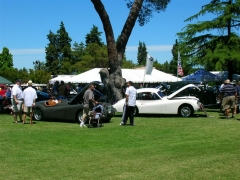 DSCN9719.JPG