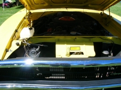 DSCN9667.JPG