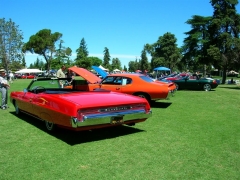 DSCN9705.JPG
