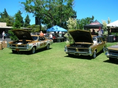 DSCN9738.JPG