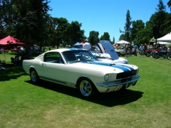 DSCN9782.JPG