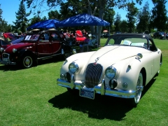 DSCN9600.JPG