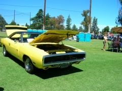 DSCN9665.JPG