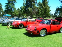 DSCN9708.JPG