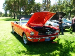 DSCN9764.JPG