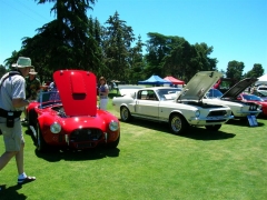 DSCN9787.JPG