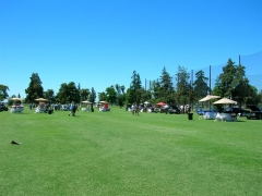 DSCN9606.JPG