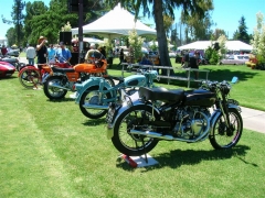 DSCN9788.JPG