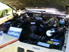 DSCN9700.JPG