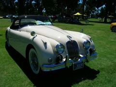 DSCN9599.JPG