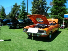 DSCN9666.JPG