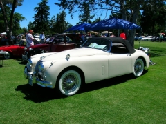DSCN9601.JPG