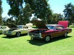 DSCN9695.JPG