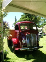 DSCN9796.JPG