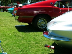 DSCN9780.JPG