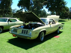 DSCN9699.JPG