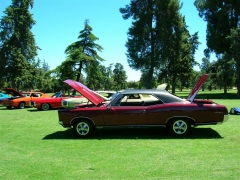 DSCN9696.JPG