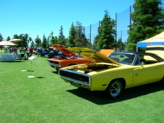 DSCN9669.JPG