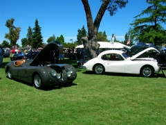 DSCN9724.JPG