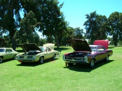 DSCN9694.JPG