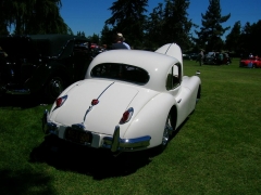 DSCN9729.JPG