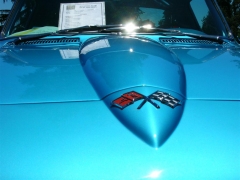 DSCN9769.JPG