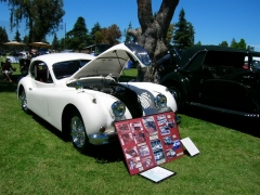 DSCN9730.JPG