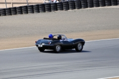 1037.jpg