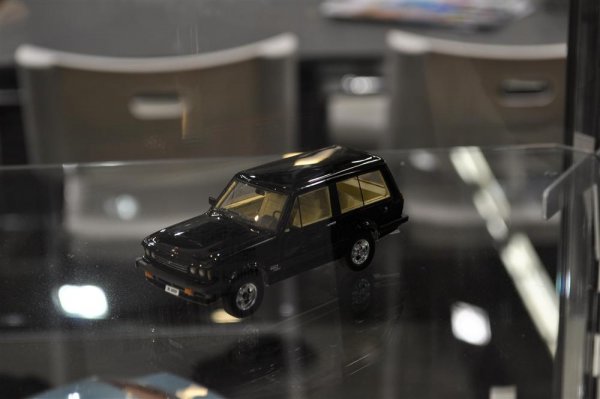 DSC_0784.JPG