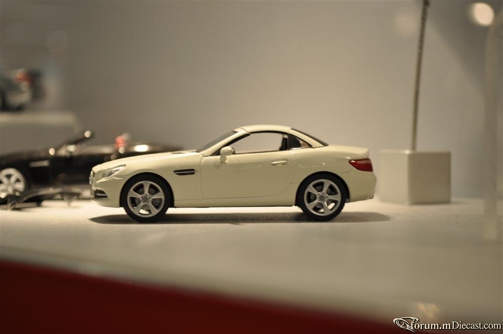 DSC_1100 (11).JPG