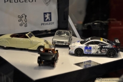 DSC_1100 (505).JPG