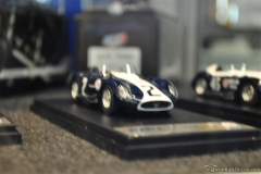 DSC_1100 (281).JPG