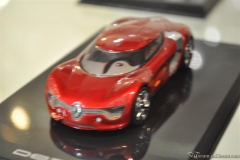 DSC_1100 (442).JPG