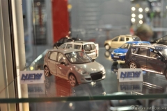 DSC_1100 (44).JPG