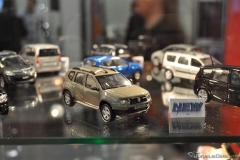 DSC_1100 (48).JPG