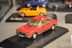 DSC_1100 (500).JPG