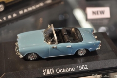 DSC_1100 (498).JPG