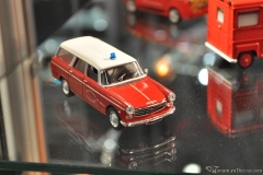 DSC_1100 (34).JPG