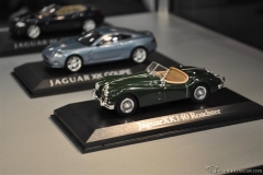 DSC_1100 (520).JPG