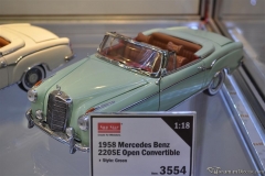 DSC_1100 (257).JPG