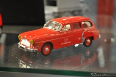 DSC_1100 (37).JPG