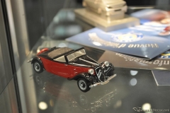 DSC_1100 (31).JPG