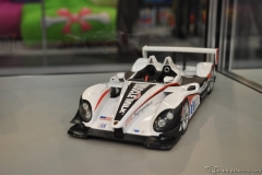 DSC_1100 (530).JPG