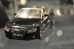 DSC_1100 (113).JPG