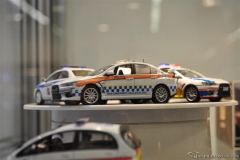DSC_1100 (228).JPG