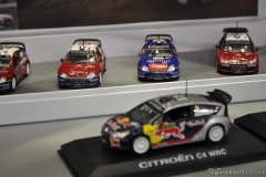 DSC_1100 (461).JPG