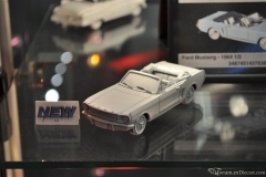 DSC_1100 (41).JPG